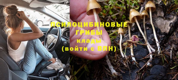 дурь Козловка