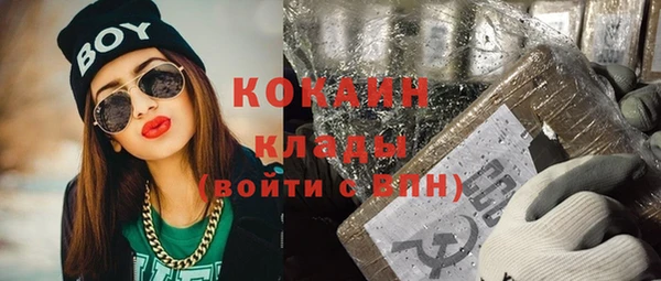 дмт Пересвет