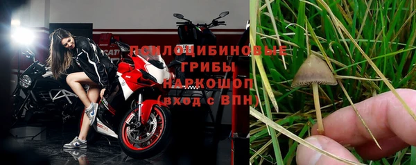 первитин Белокуриха